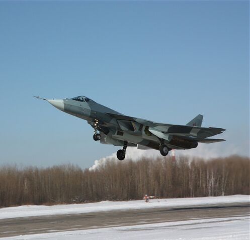File:Painted pak fa-1-.jpg