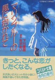 MB-novel