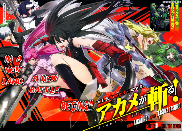 File:Akame ga Kiru! -89.png