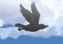 Cuervo 1.png