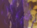 Concentrar4.gif