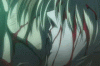 Th blood-kiss-2-a.gif