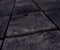 Aphro17gz.gif