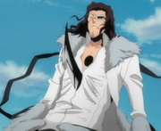 488px-Shunsui Stabs Starrk