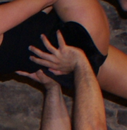 Brett auf den Händen.png