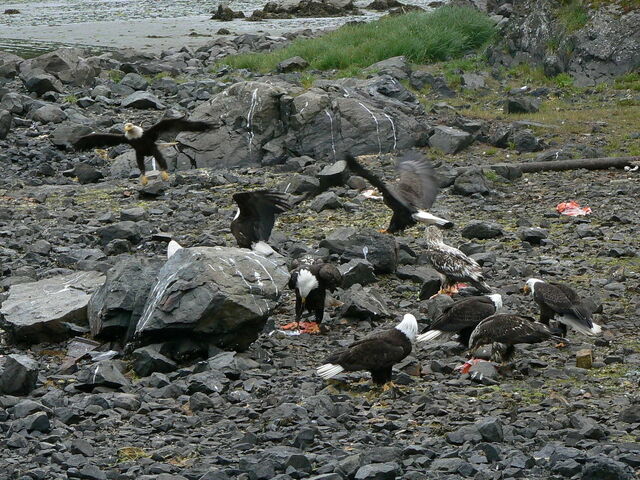File:Dinner Time.jpg