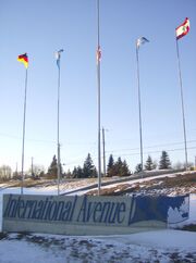 International Avenue 6