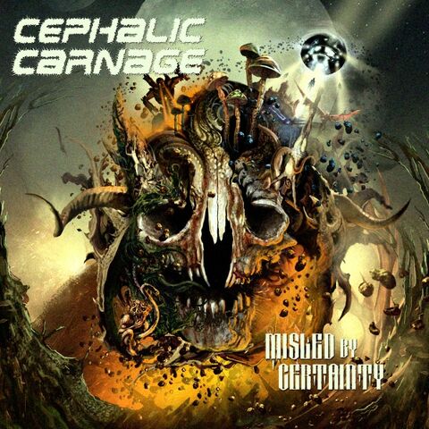 File:MisledByCertainty.jpg
