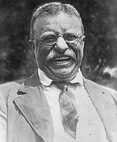 File:492px-Theodore Roosevelt laughing.jpg