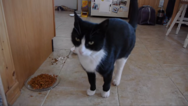 File:Darlene.png