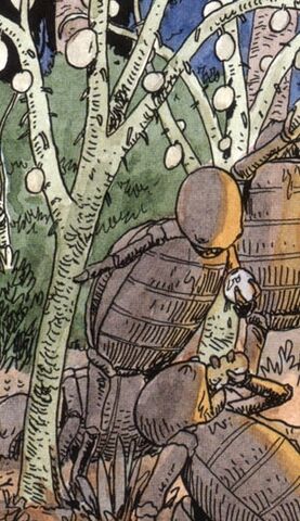 File:Strange-fruit.jpg