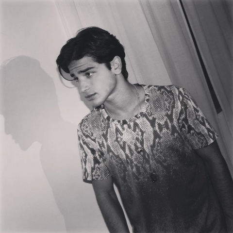 File:Anis (10).png