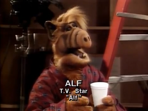 ALF on Matlock