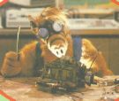File:Alf.jpg