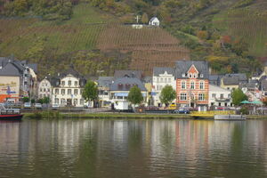ALF-Mosel