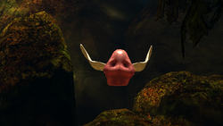 Pig Snout.png