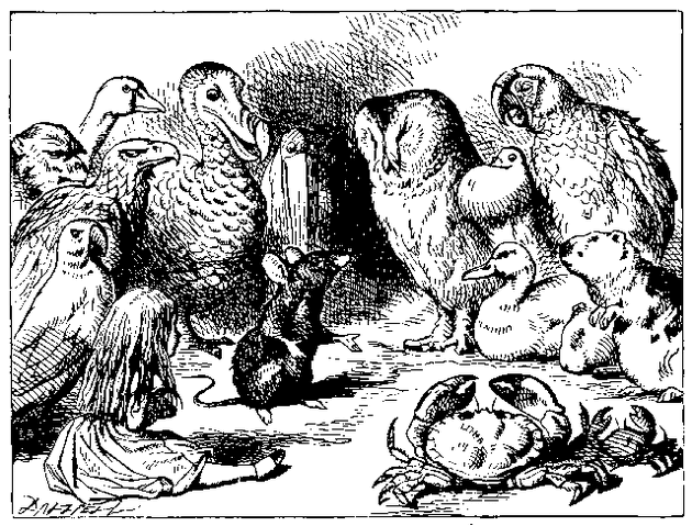 File:Caucus.gif