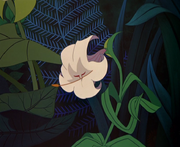 1951-TigerLily.png