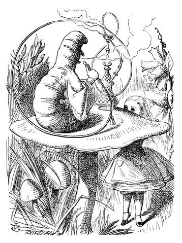 File:Caterpillar tenniel.jpg