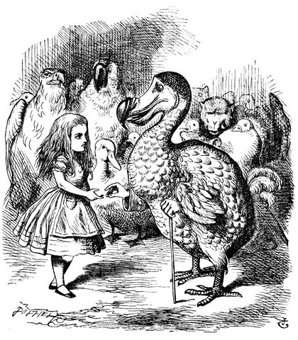 File:Dodo tenniel.jpg