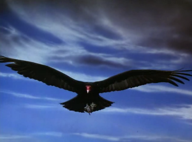 Archivo:1985-Crow.png