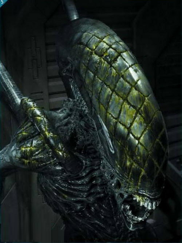 Plik:Grid Alien.png