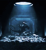 Alienł.gif