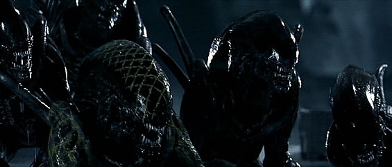 Plik:Grid Alien.jpg