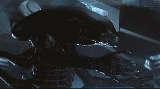 File:Xenomorph Slider.jpg