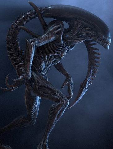 File:Xeno lurker.png