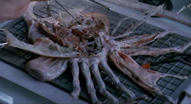 File:Facehuggerdissected.png