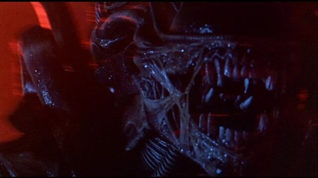 File:Warrior-up-close.jpg