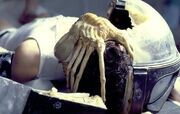 Facehugger-alien-aliens-8255454-473-300