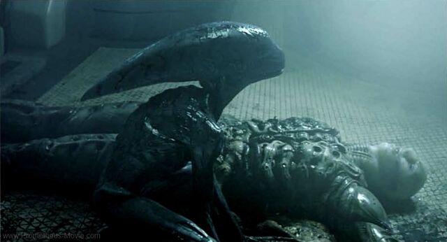 File:ProtoAlienBirth.jpg