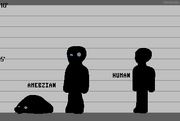 Amebzian Lineup