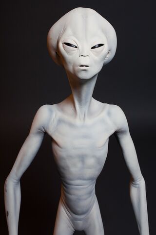 File:Roswell Alien 2290.jpg