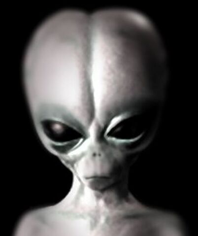 File:Grey Alien4.jpg