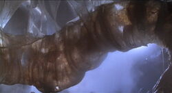 Alienqueeneggsack