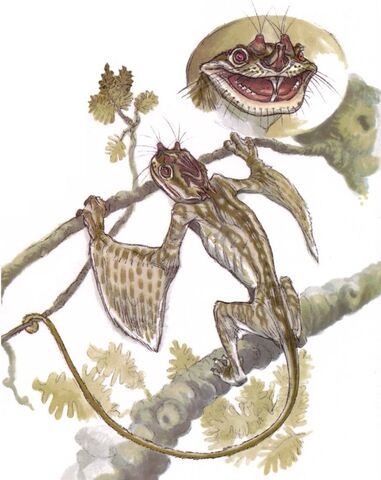 File:Spade-Headed Smooka.jpg