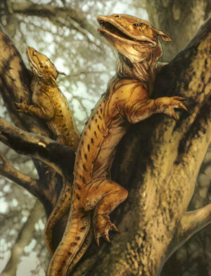 Ysalamir