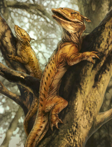 File:Ysalamir.jpg