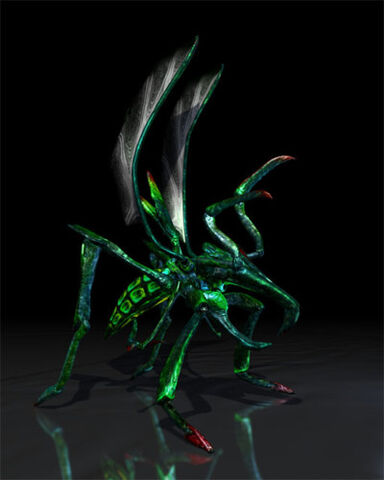 File:Hopper Bug.jpg