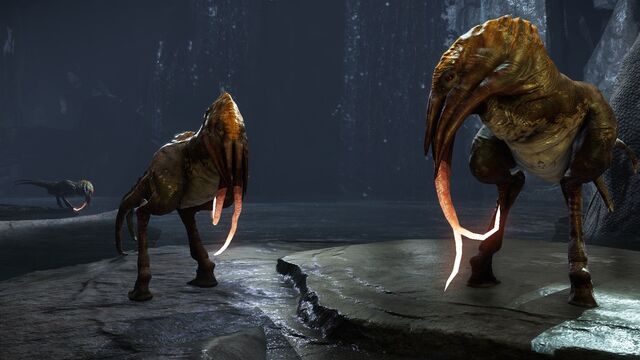 File:Mammoth Bird.jpg