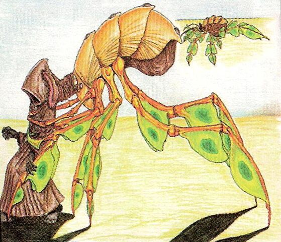 File:Sandswimmer.jpg