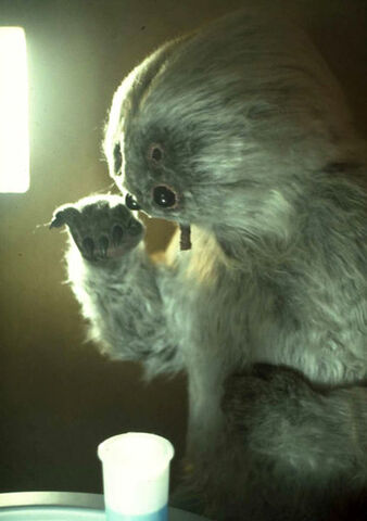 File:Muftak.jpg