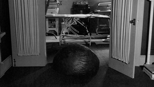 File:021 large blob.jpg