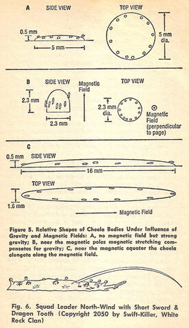 File:CheelaSketches.jpg