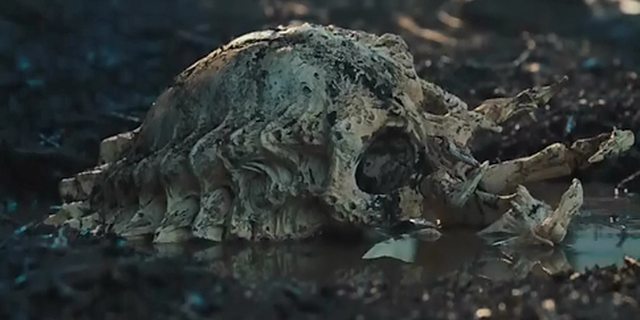 File:Pred-skull-1.png