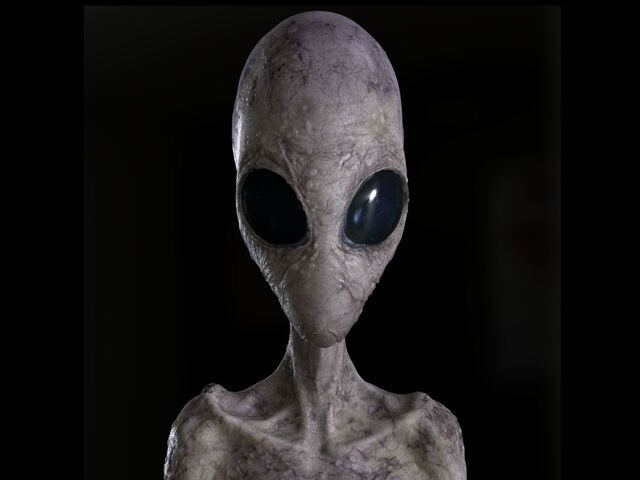 File:Staring into your soul.jpg