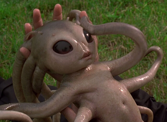 File:Mib.Squid.jpg
